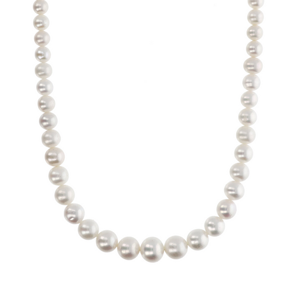 Graduated Choker Necklace with White Freshwater Pearls Ø 5/9.5 mm in 18Kt Yellow Gold Plated 925 Silver
