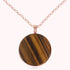 WSBZ00708.TG_1.webp