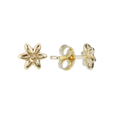 Stud Earrings with 9 Carat Gold Flower