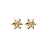 Stud Earrings with 9 Carat Gold Flower