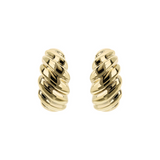 Shell Texture Lobe Earrings in 375 Gold