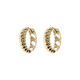375 Gold Shell Texture Hoop Earrings