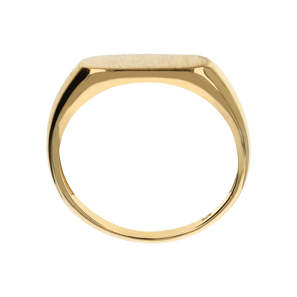 375 Gold Ring with Satin Bar